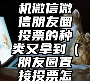 简单的来说下微信投票人工怎么刷票（微信纯人工投票）