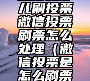 简单的来说下微信投票人工怎么刷票（微信纯人工投票）