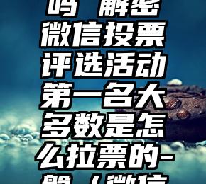 简单的来说下微信投票人工怎么刷票（微信纯人工投票）