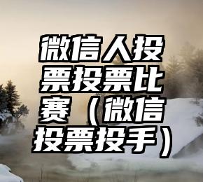 简单的来说下微信投票人工怎么刷票（微信纯人工投票）