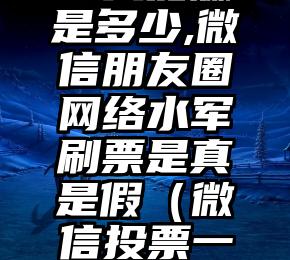 简单的来说下微信投票人工怎么刷票（微信纯人工投票）