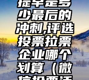 简单的来说下微信投票人工怎么刷票（微信纯人工投票）
