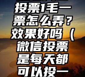 简单的来说下微信投票人工怎么刷票(微信纯人工投票)