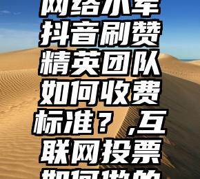 简单的来说下微信投票人工怎么刷票（微信纯人工投票）