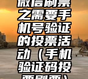 简单的来说下微信投票人工怎么刷票（微信纯人工投票）