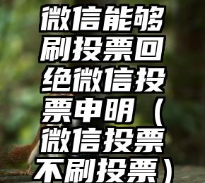 简单的来说下微信投票人工怎么刷票（微信纯人工投票）