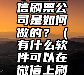 简单的来说下微信投票人工怎么刷票（微信纯人工投票）