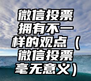 简单的来说下微信投票人工怎么刷票（微信纯人工投票）