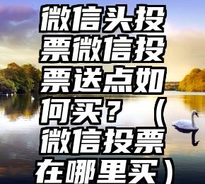 简单的来说下微信投票人工怎么刷票（微信纯人工投票）