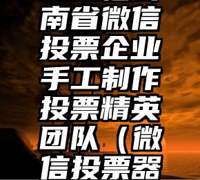 简单的来说下微信投票人工怎么刷票（微信纯人工投票）