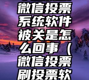 简单的来说下微信投票人工怎么刷票（微信纯人工投票）