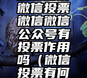 简单的来说下微信投票人工怎么刷票（微信纯人工投票）