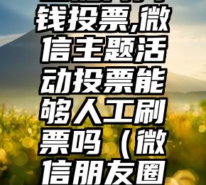 简单的来说下微信投票人工怎么刷票（微信纯人工投票）