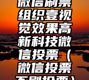 简单的来说下微信投票人工怎么刷票（微信纯人工投票）