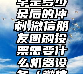 简单的来说下微信投票人工怎么刷票（微信纯人工投票）