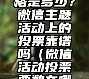 简单的来说下微信投票人工怎么刷票（微信纯人工投票）