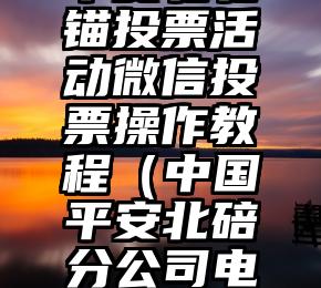 简单的来说下微信投票人工怎么刷票（微信纯人工投票）