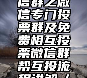 简单的来说下微信投票人工怎么刷票（微信纯人工投票）