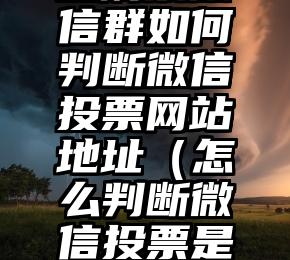 简单的来说下微信投票人工怎么刷票（微信纯人工投票）