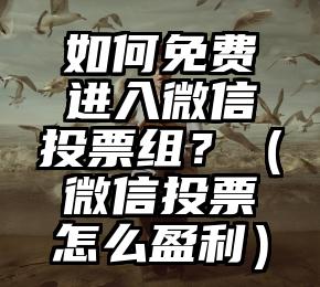 简单的来说下微信投票人工怎么刷票（微信纯人工投票）