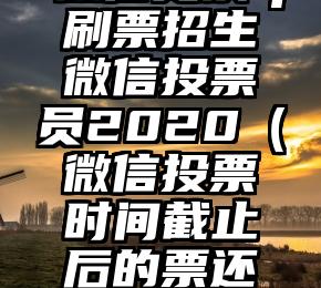 简单的来说下微信投票人工怎么刷票（微信纯人工投票）