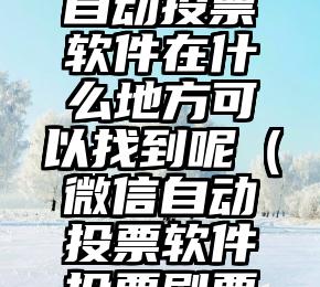 简单的来说下微信投票人工怎么刷票（微信纯人工投票）