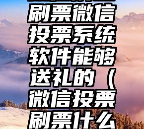 简单的来说下微信投票人工怎么刷票（微信纯人工投票）