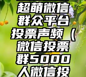 简单的来说下微信投票人工怎么刷票（微信纯人工投票）