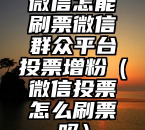 简单的来说下微信投票人工怎么刷票（微信纯人工投票）
