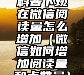 简单的来说下微信投票人工怎么刷票（微信纯人工投票）