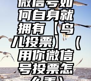 简单的来说下微信投票人工怎么刷票（微信纯人工投票）