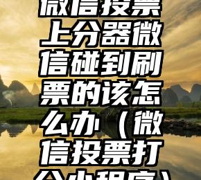 简单的来说下微信投票人工怎么刷票（微信纯人工投票）