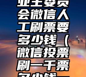 简单的来说下微信投票人工怎么刷票（微信纯人工投票）