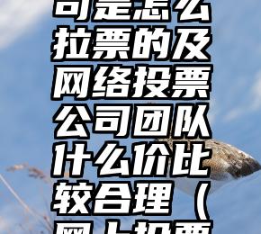 简单的来说下微信投票人工怎么刷票（微信纯人工投票）