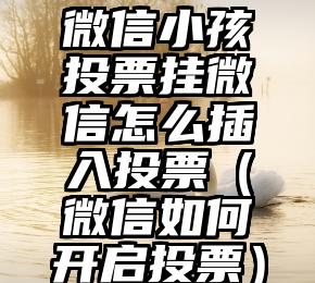 简单的来说下微信投票人工怎么刷票（微信纯人工投票）