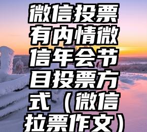 简单的来说下微信投票人工怎么刷票（微信纯人工投票）