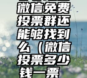 简单的来说下微信投票人工怎么刷票（微信纯人工投票）