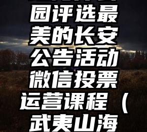 简单的来说下微信投票人工怎么刷票（微信纯人工投票）