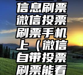 简单的来说下微信投票人工怎么刷票（微信纯人工投票）