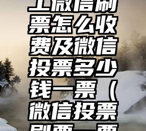 简单的来说下微信投票人工怎么刷票（微信纯人工投票）