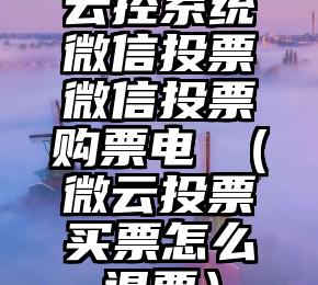 简单的来说下微信投票人工怎么刷票（微信纯人工投票）