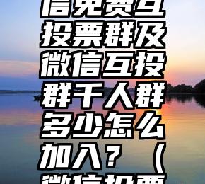 简单的来说下微信投票人工怎么刷票（微信纯人工投票）