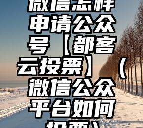 简单的来说下微信投票人工怎么刷票（微信纯人工投票）
