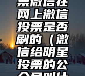 简单的来说下微信投票人工怎么刷票（微信纯人工投票）