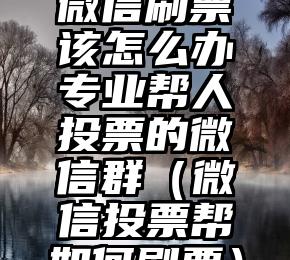 简单的来说下微信投票人工怎么刷票（微信纯人工投票）
