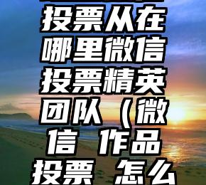 简单的来说下微信投票人工怎么刷票（微信纯人工投票）