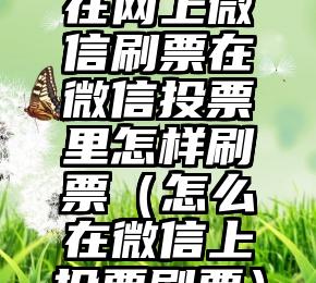 简单的来说下微信投票人工怎么刷票（微信纯人工投票）