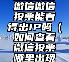 简单的来说下微信投票人工怎么刷票（微信纯人工投票）