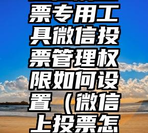 简单的来说下微信投票人工怎么刷票（微信纯人工投票）