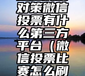 简单的来说下微信投票人工怎么刷票（微信纯人工投票）